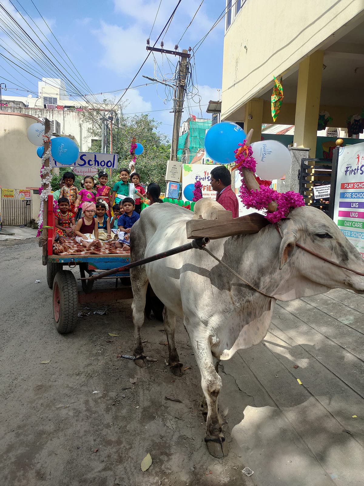 Bullock Cart Ride