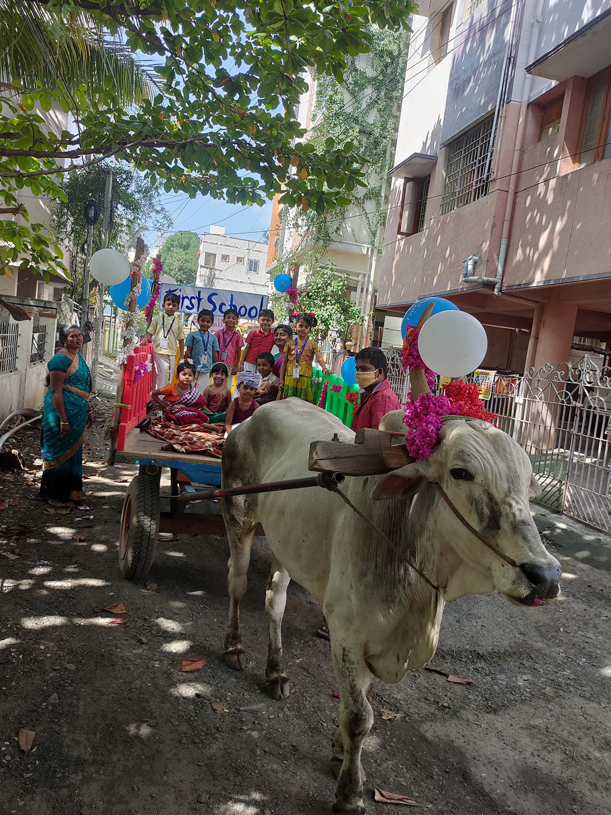 Bullock Cart Ride photo 10