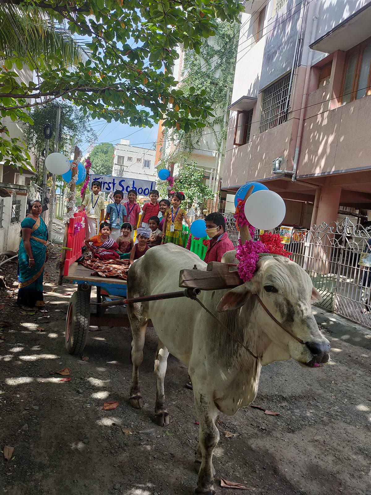 Bullock Cart Ride photo 11