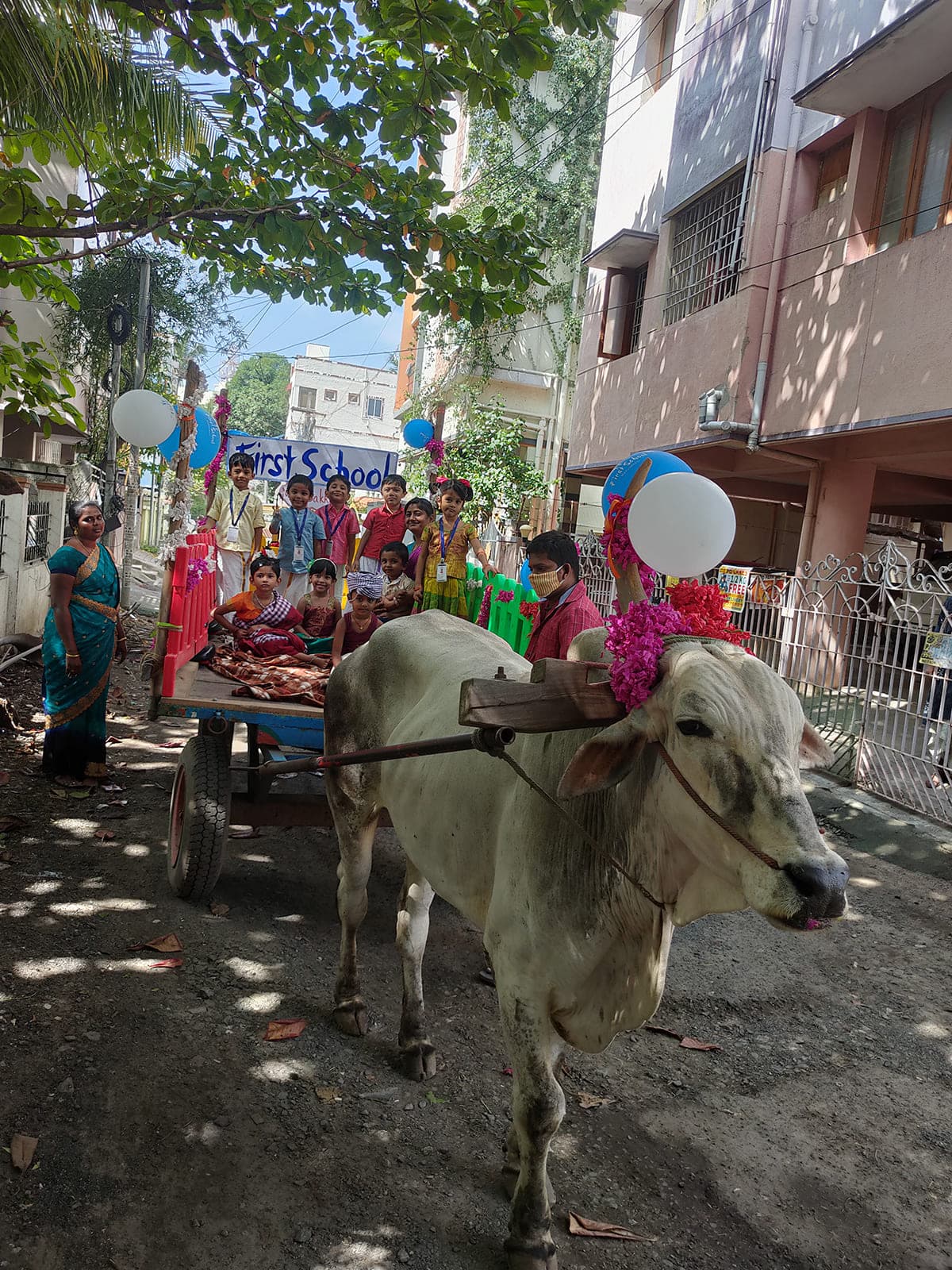 Bullock Cart Ride photo 12