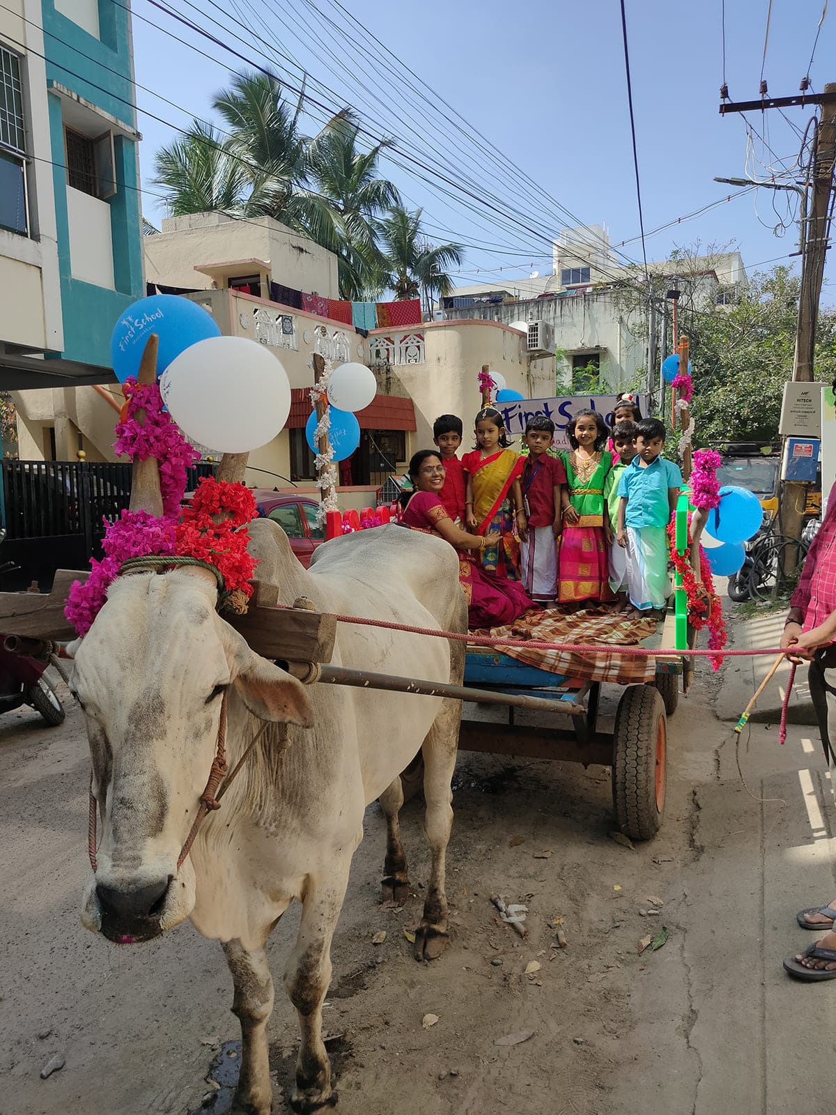 Bullock Cart Ride photo 14