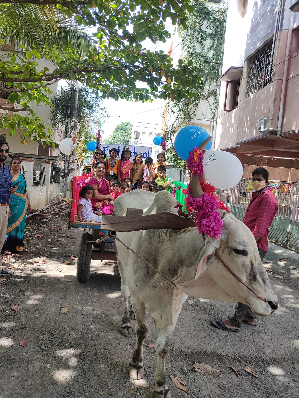 Bullock Cart Ride photo 15