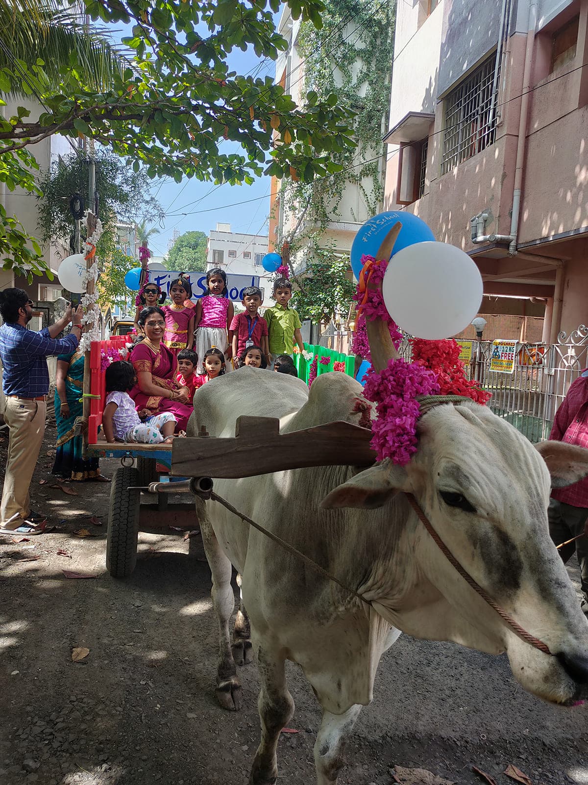 Bullock Cart Ride photo 16