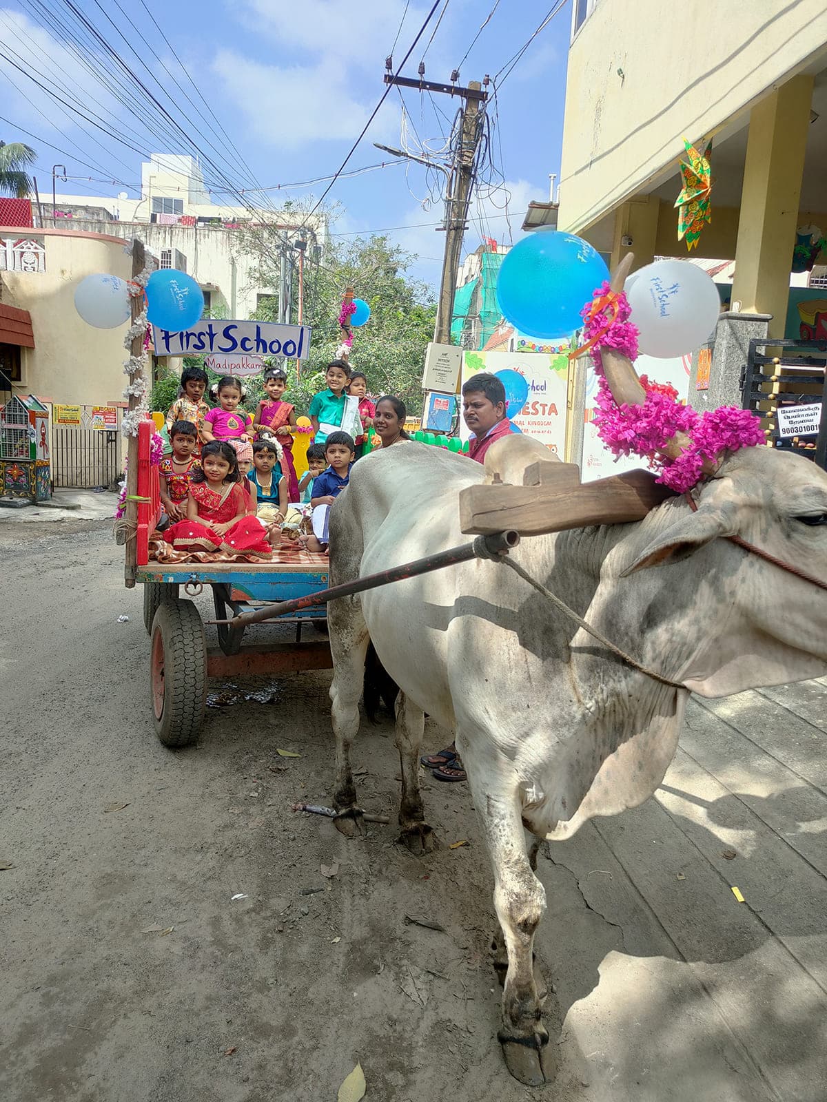 Bullock Cart Ride photo 2