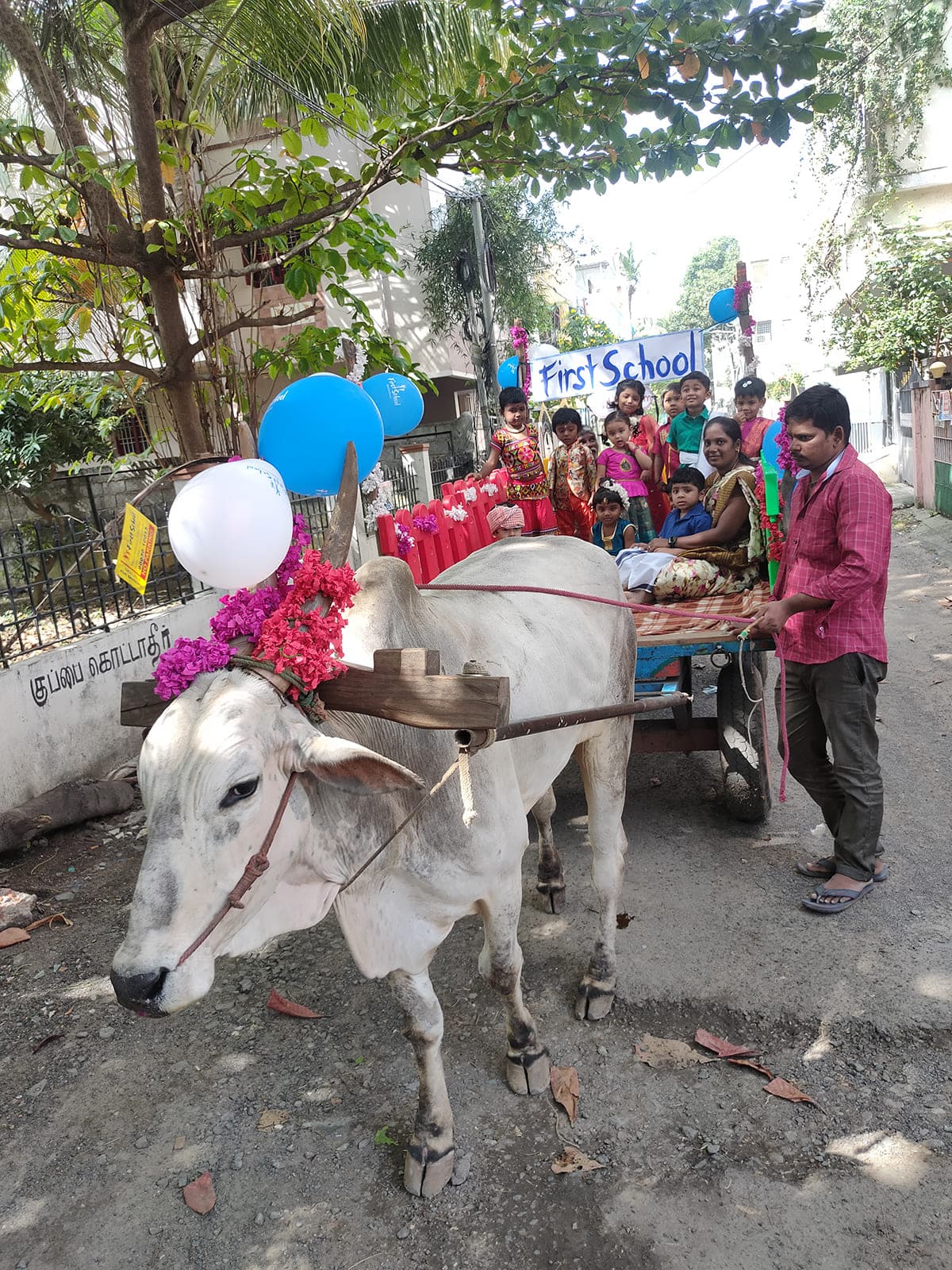 Bullock Cart Ride photo 3
