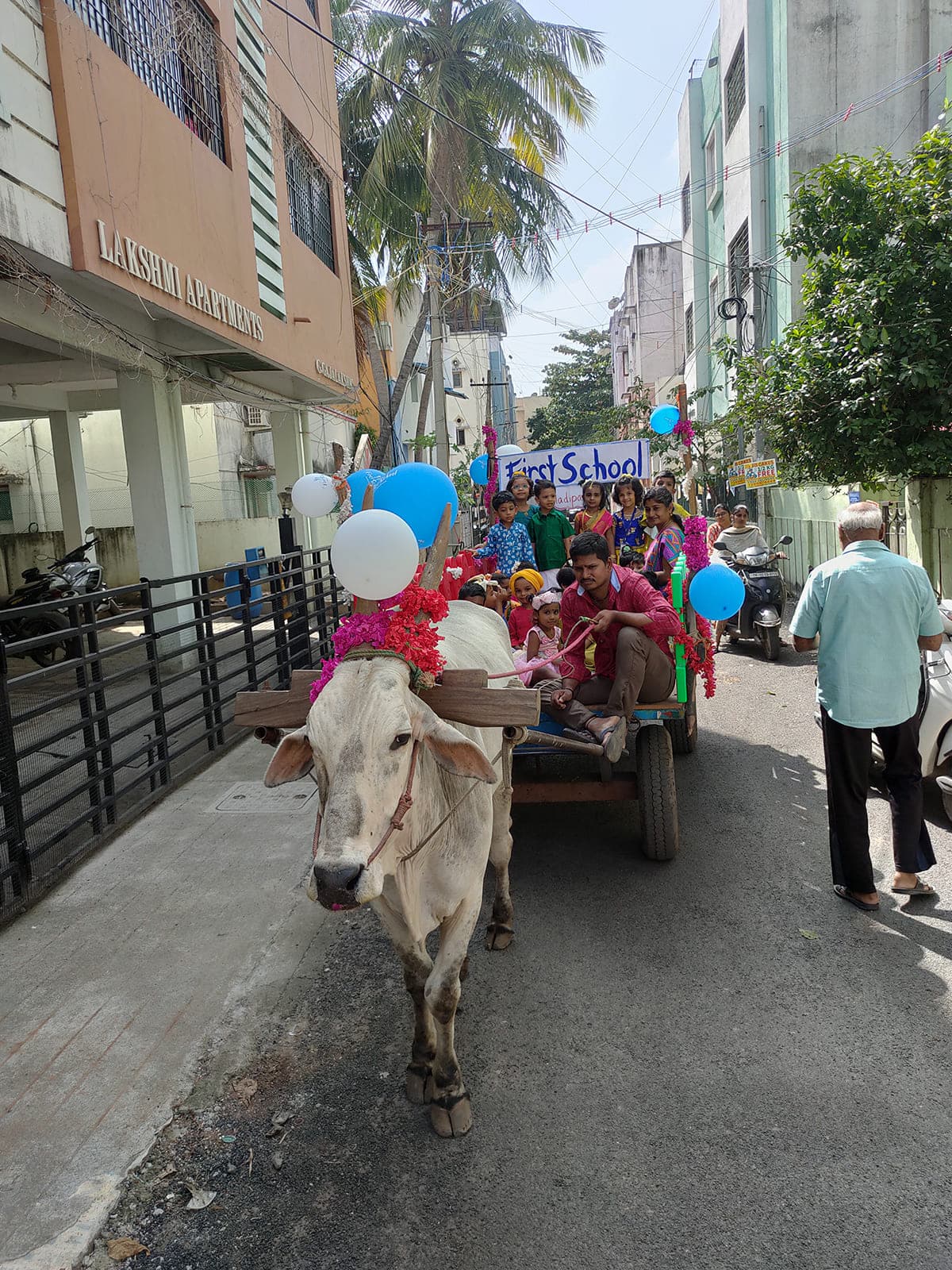Bullock Cart Ride photo 5