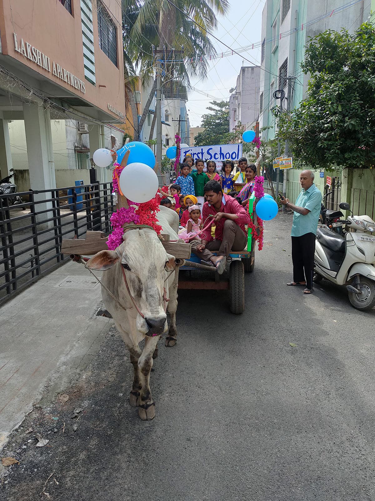 Bullock Cart Ride photo 6