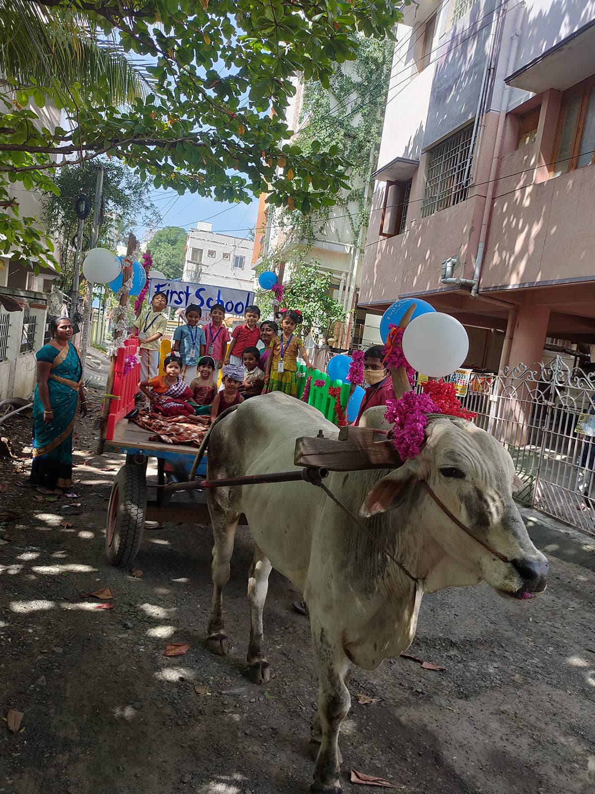 Bullock Cart Ride photo 9