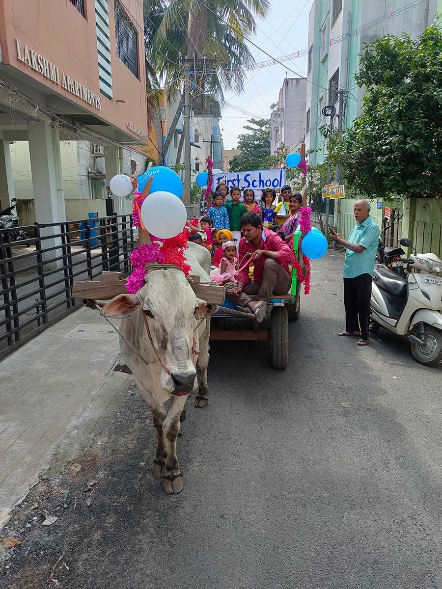 Celebrations photo 15