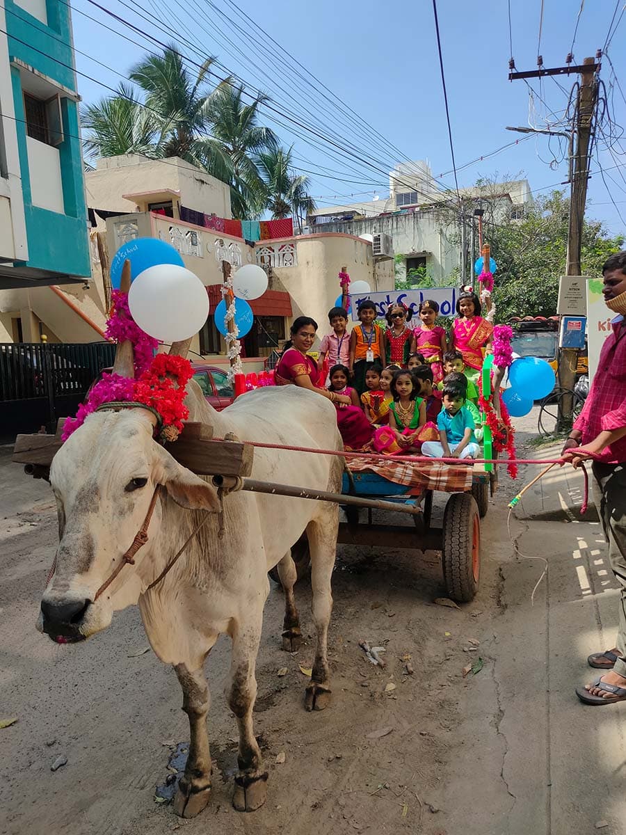 Celebrations photo 16